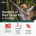 forestleaf-red-yeast-rice-with-coq10-sup-4.jpg
