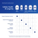 pure-encapsulations-nac-600-mg-n-acetyl--6.jpg