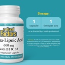 natural-factors-alpha-lipoic-acid-with-b-3.jpg