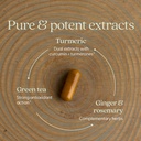 new-chapter-turmeric-supplement-daily-de-3.jpg