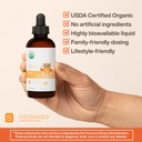 organic-liquid-zinc-by-dr-ana-maria-temp-4.jpg