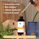 organic-liquid-zinc-by-dr-ana-maria-temp-6.jpg