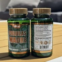 celulas-madres-stem-cell-enhancer-60-cap-2.jpg