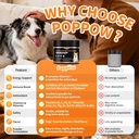 dog-vitamins-and-supplements-for-daily-e-5.jpg