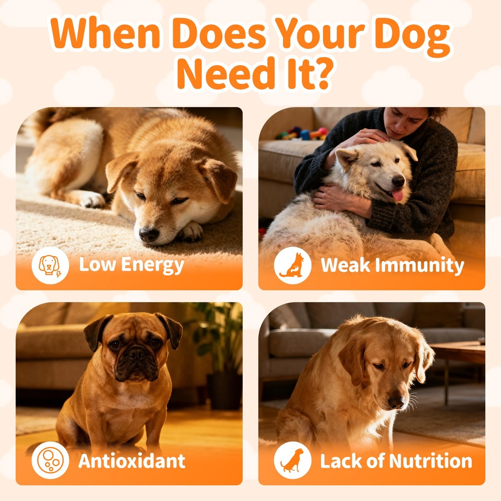 dog-vitamins-and-supplements-for-daily-e-6.jpg