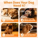 dog-vitamins-and-supplements-for-daily-e-6.jpg