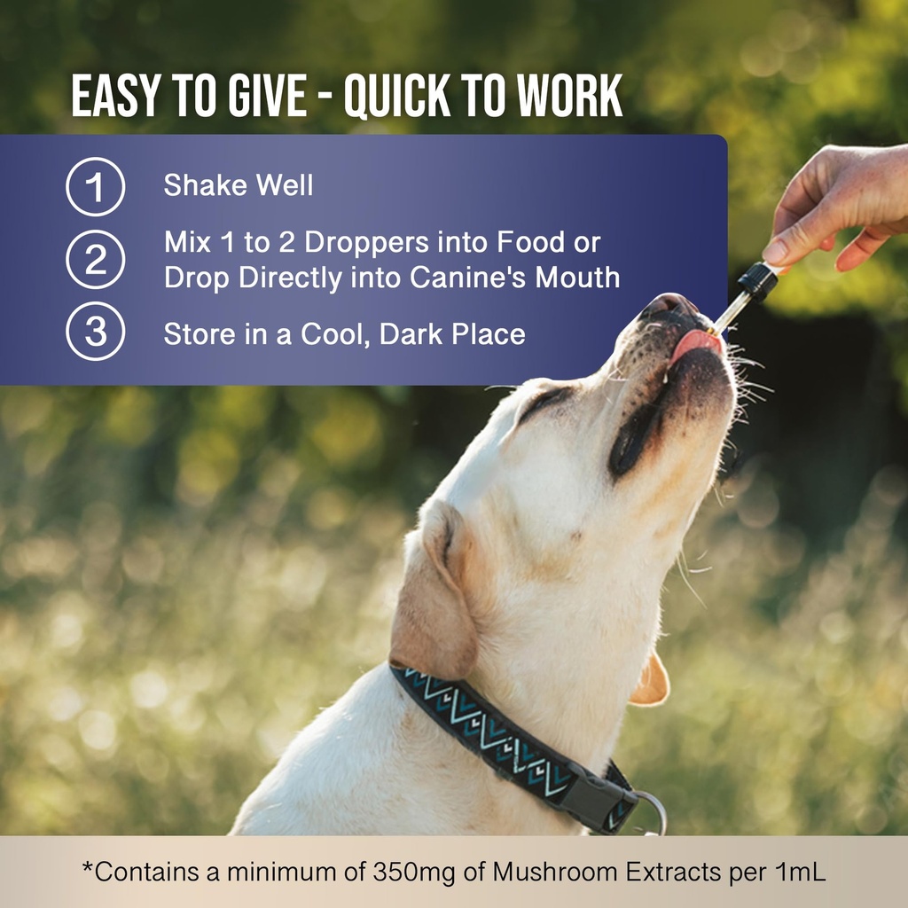 mycodog-breathe-respiratory-support-supp-6.jpg