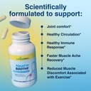 heal-n-soothe-proteolytic-systemic-enzym-4.jpg