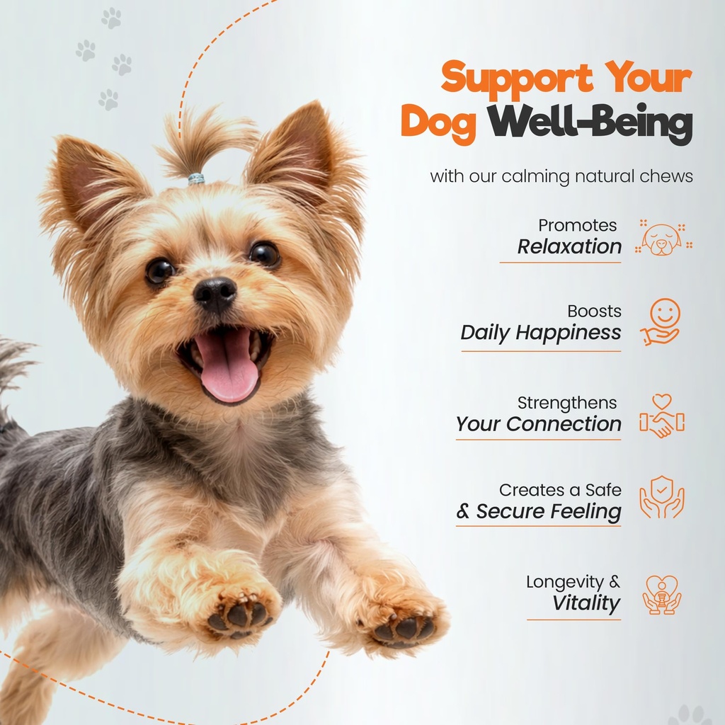 dog-multivitamin-soft-chews-with-probiot-6.jpg