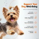 dog-multivitamin-soft-chews-with-probiot-6.jpg