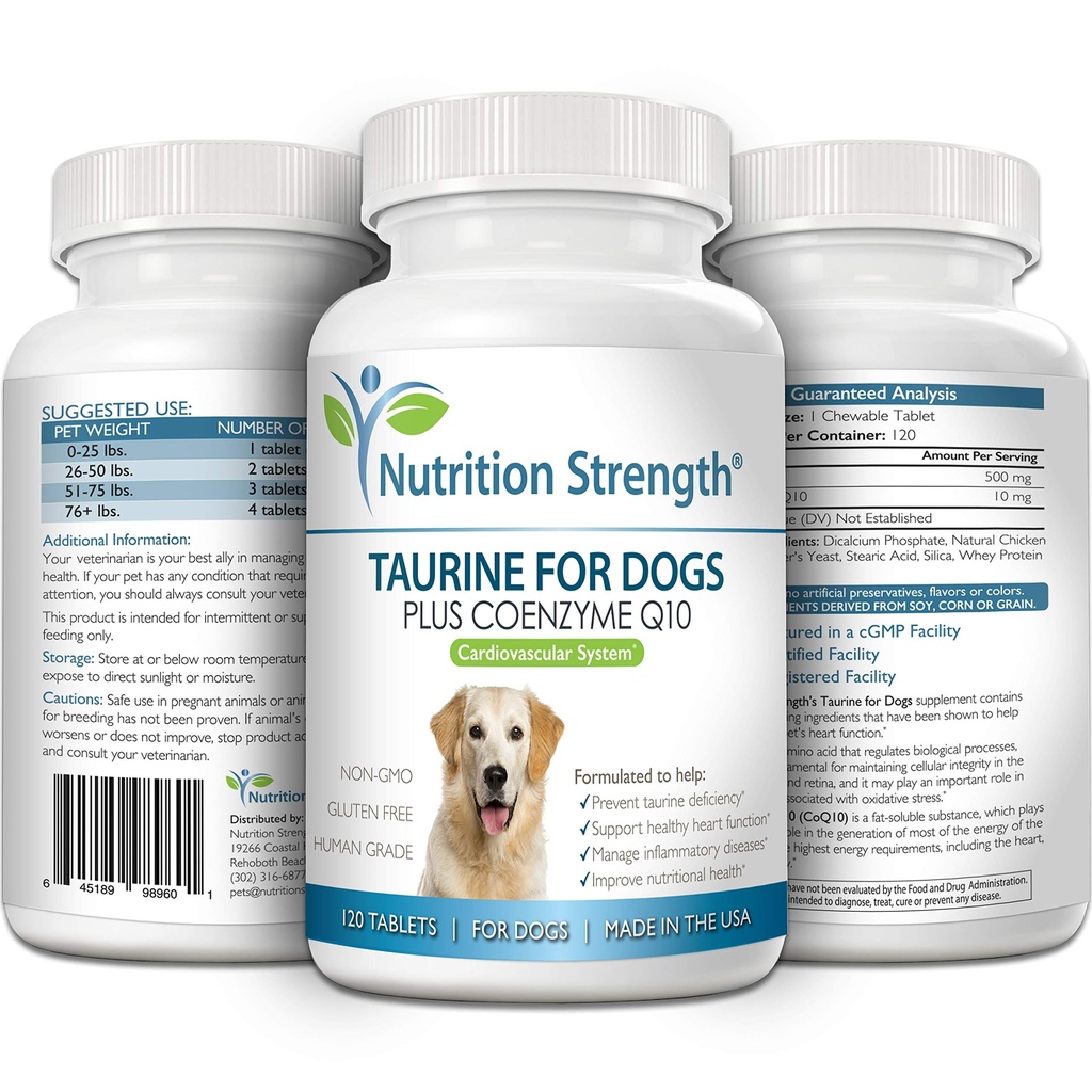 taurine-for-dogs-support-for-a-healthy-h-4.jpg
