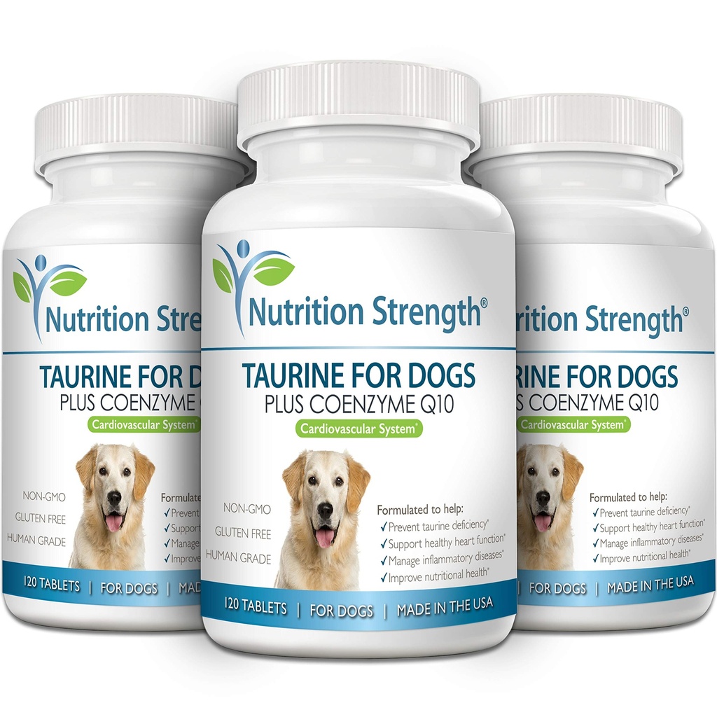 taurine-for-dogs-support-for-a-healthy-h-5.jpg