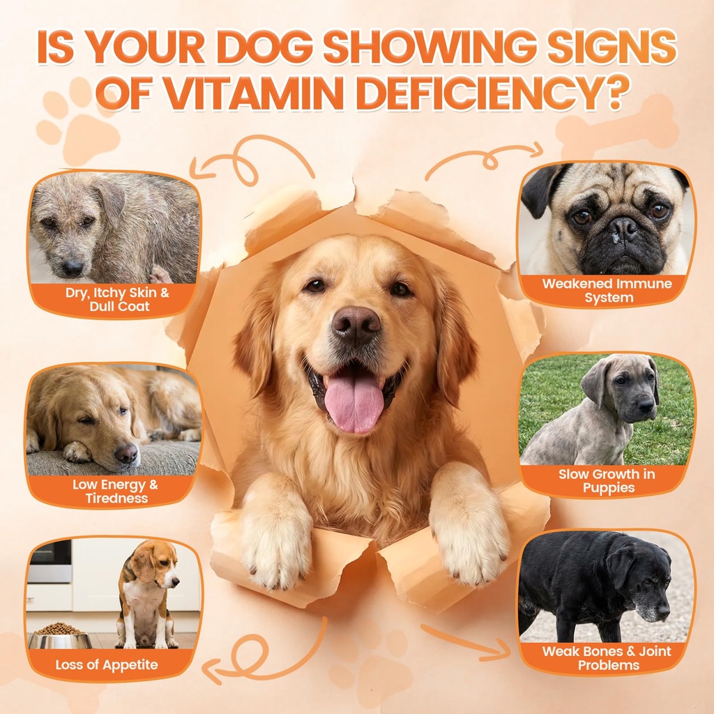 dog-vitamins-and-supplements-16-in-1-dog-6.jpg