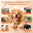 dog-vitamins-and-supplements-16-in-1-dog-6.jpg