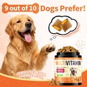dog-vitamins-and-supplements-16-in-1-dog-5.jpg