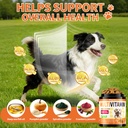 dog-vitamins-and-supplements-16-in-1-dog-4.jpg