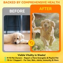 multivitamin-powder-for-dogs-all-in-one--2.jpg