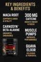 pharmafreak-achilles-freak-300-pre-worko-3.jpg