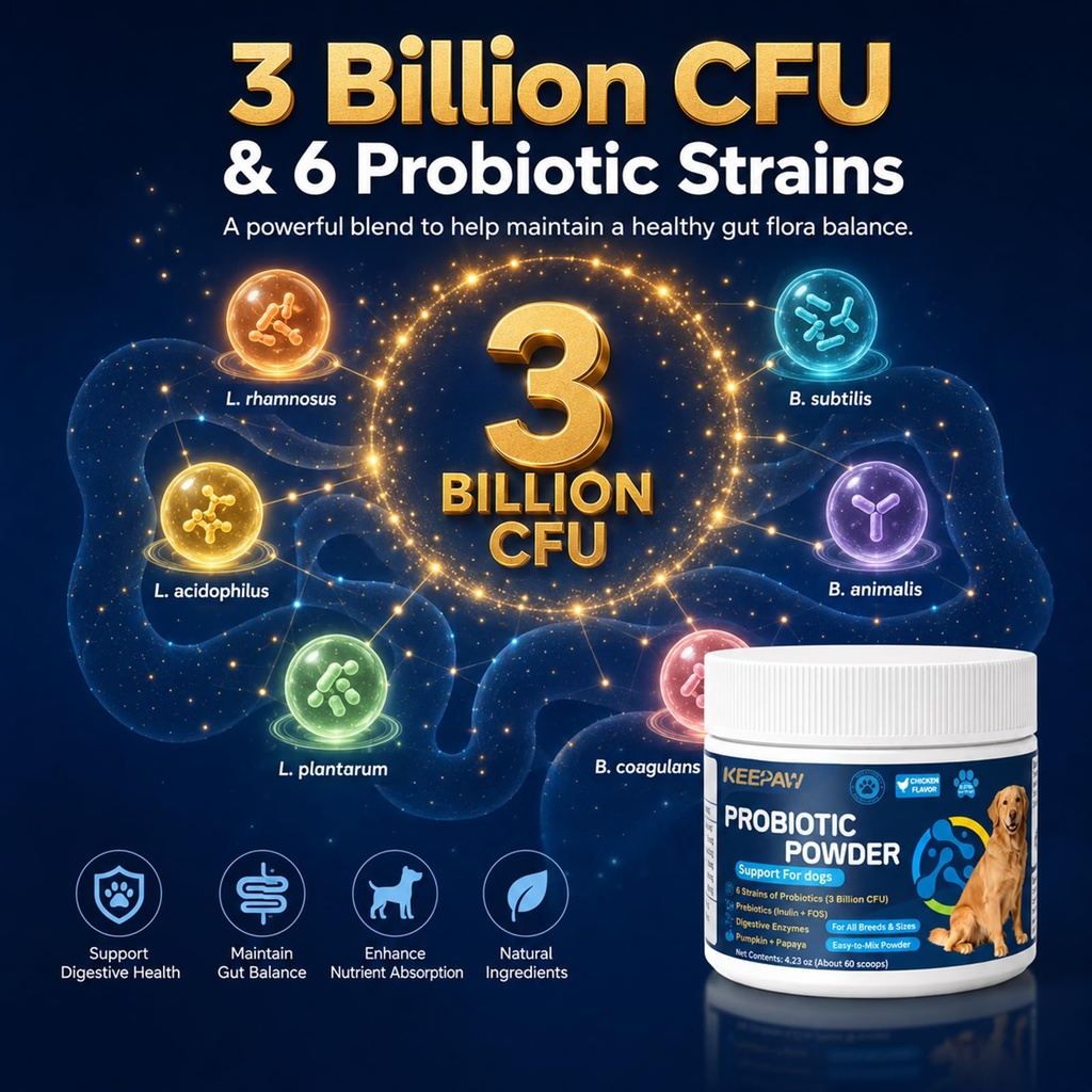 probiotics-and-digestive-enzymes-pumpkin-4.jpg