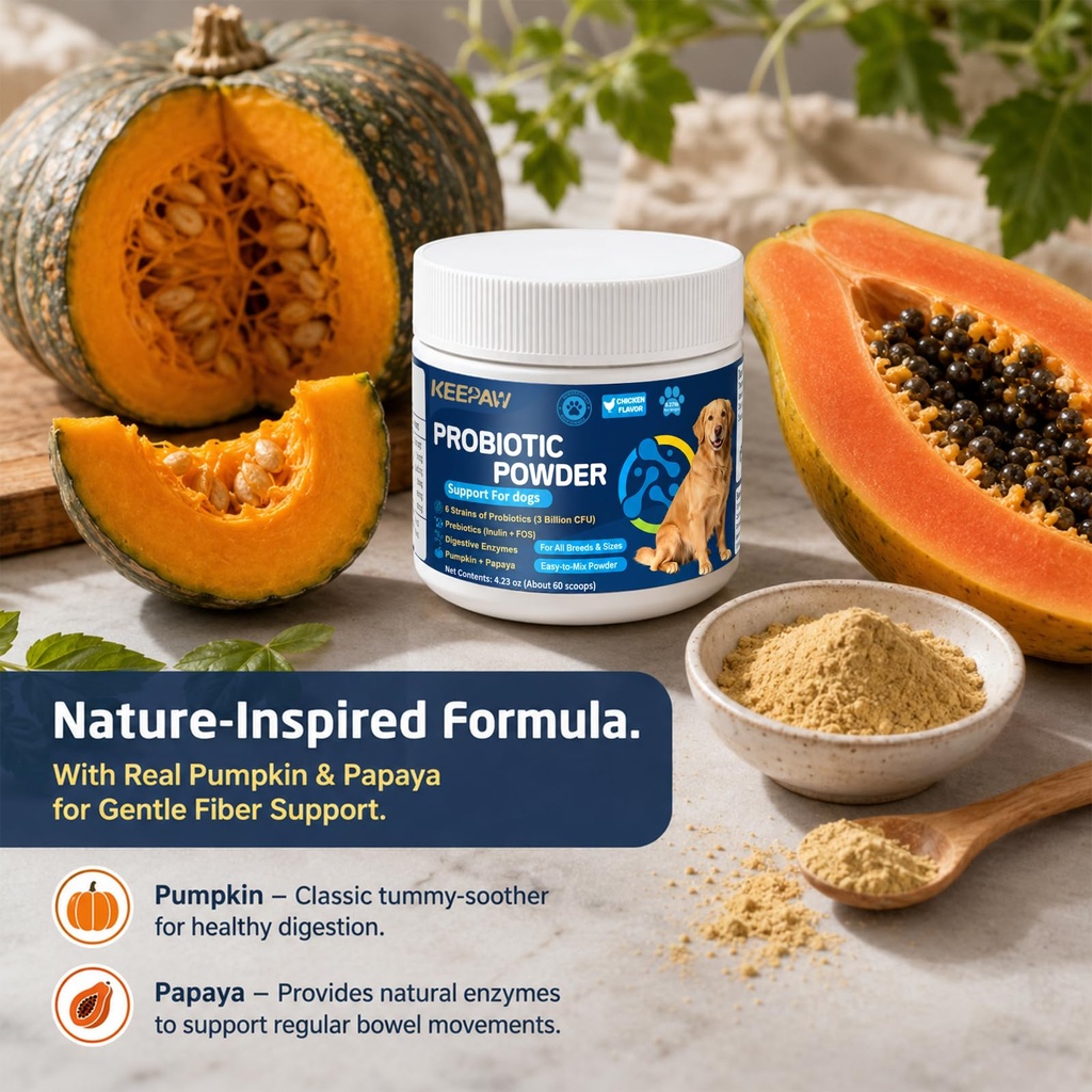 probiotics-and-digestive-enzymes-pumpkin-3.jpg