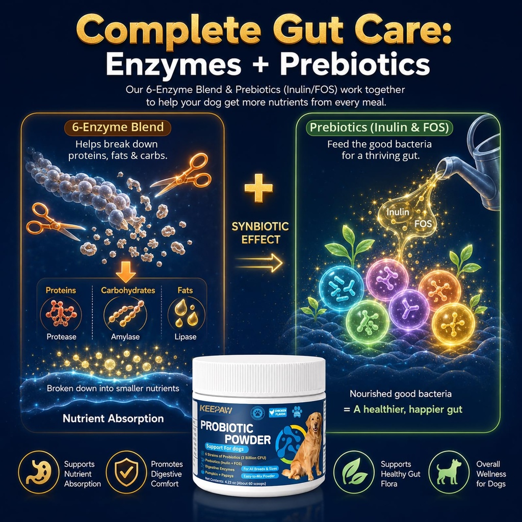 probiotics-and-digestive-enzymes-pumpkin-5.jpg
