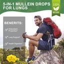 mulittea-mullein-drops-for-lungs-lymphat-5.jpg