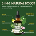 goldenseal-root-extract-liquid-drop-6-in-4.jpg