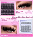 geeneiya-full-lash-clusters-d-curvature--5.jpg