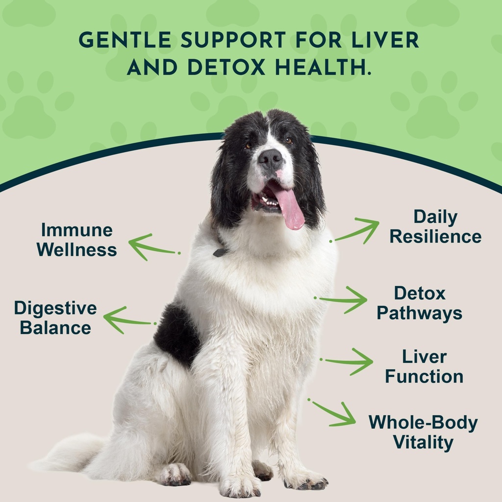 animal-essentials-milk-thistle-liver-sup-2.jpg