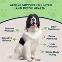 animal-essentials-milk-thistle-liver-sup-2.jpg