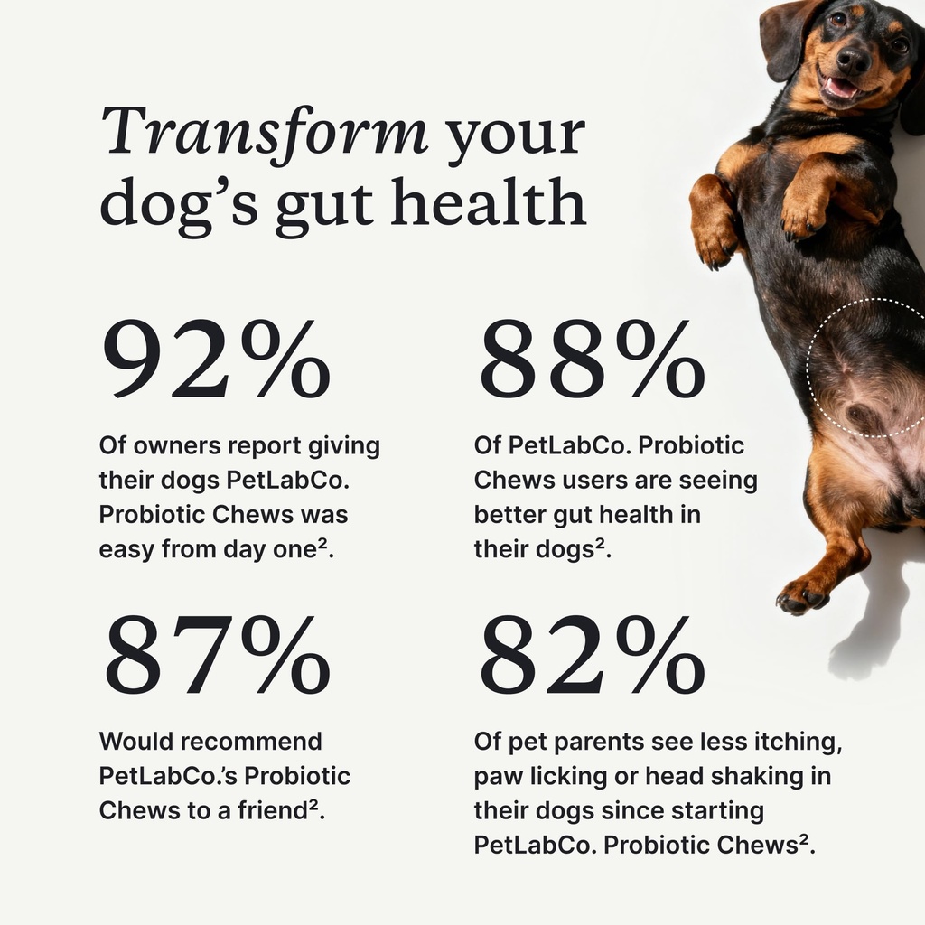 petlab-co-probiotics-for-dogs-support-gu-2.jpg