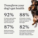 petlab-co-probiotics-for-dogs-support-gu-2.jpg