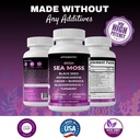 vitamatic-sea-moss-with-black-seed-oil-a-6.jpg