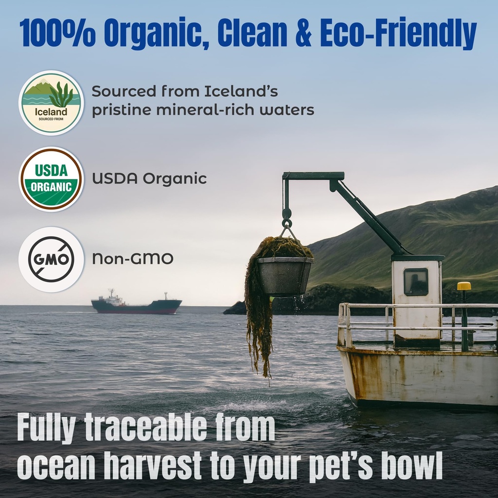 life-line-organic-ocean-kelp-supplement--6.jpg