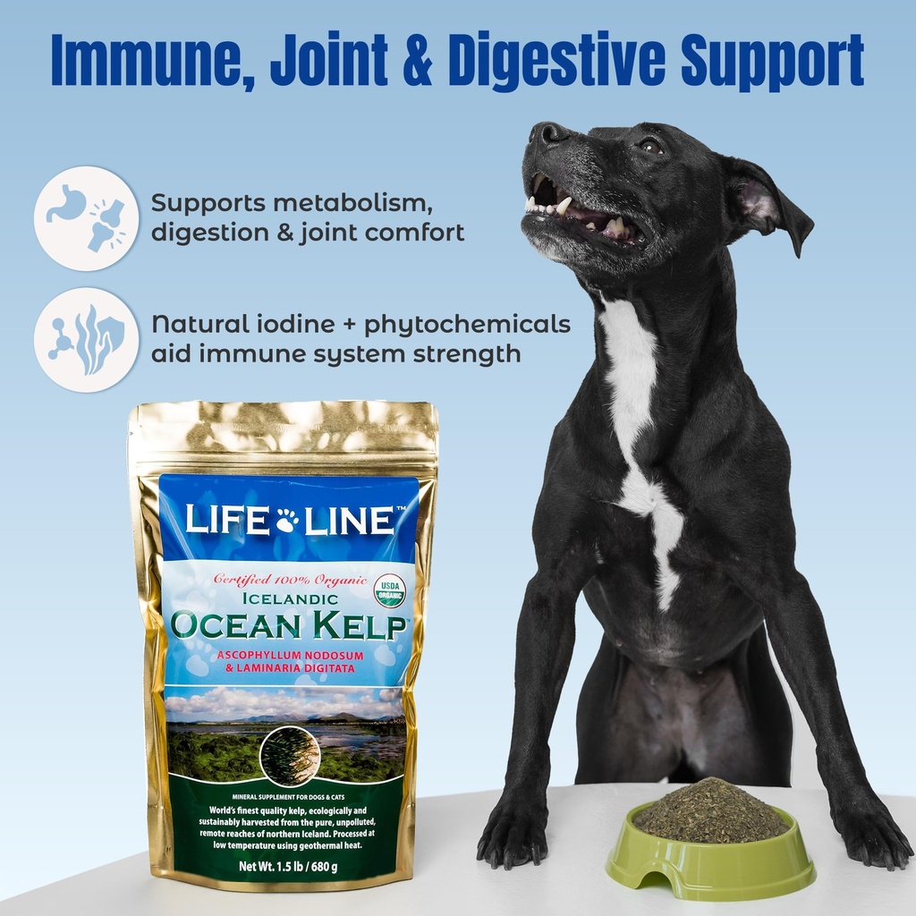 life-line-organic-ocean-kelp-supplement--5.jpg