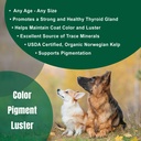 dogzymes-organic-norwegian-kelp-for-pets-4.jpg