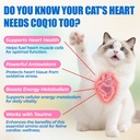 just-try-coenzyme-q10-heart-heathy-bites-3.jpg