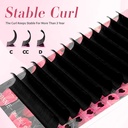 easy-fan-lash-extensions-rapid-blooming--5.jpg