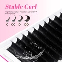 tdance-easy-fan-lash-extension-rapid-blo-4.jpg