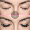 tdance-easy-fan-lash-extension-rapid-blo-6.jpg