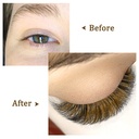 quewel-colored-lash-extensions-easy-fan--5.jpg