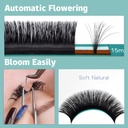easy-fan-lashes-professional-blooming-la-4.jpg