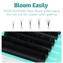 easy-fan-lashes-professional-blooming-la-5.jpg