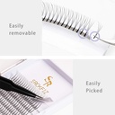 3d-lash-extensions-premade-fans-eyelash--5.jpg