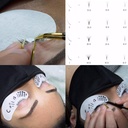 easy-fan-lashes-eyelash-extensions-rapid-5.jpg