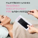 easy-fan-lashes-eyelash-extensions-rapid-4.jpg