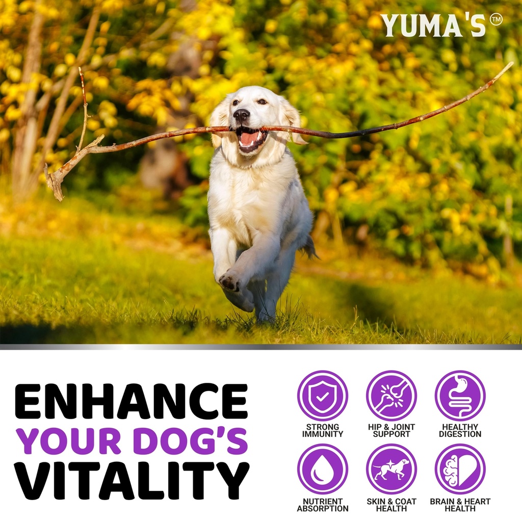 dog-multivitamin-chewable-with-glucosami-5.jpg