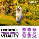 dog-multivitamin-chewable-with-glucosami-5.jpg
