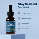 liquid-zinc-drops-2-pack-zinc-liquid-dro-3.jpg