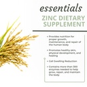 optimal-health-systems-essential-zinc-ch-6.jpg